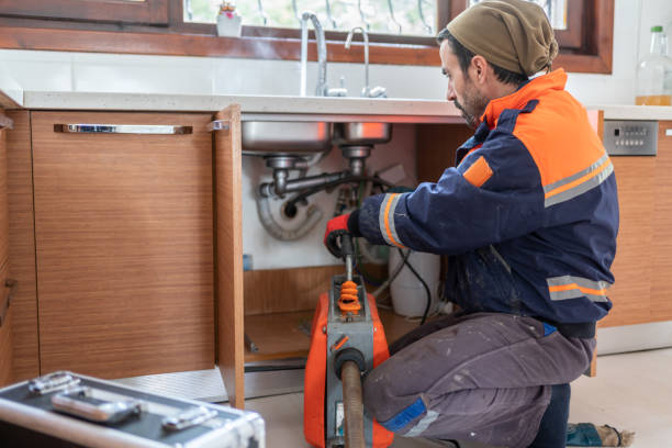 Best Clogged Drain Plumber  in Portland, MI