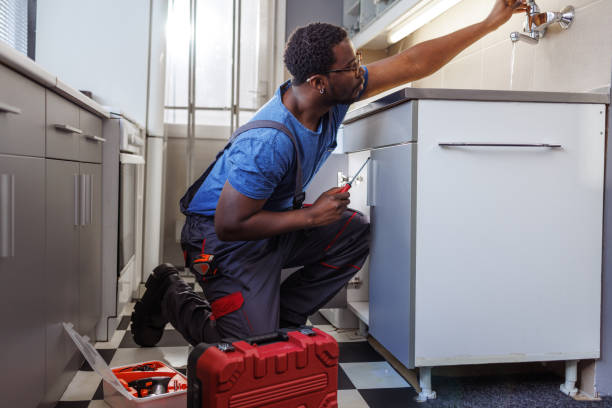 Best Commercial Plumbing Services  in Portland, MI